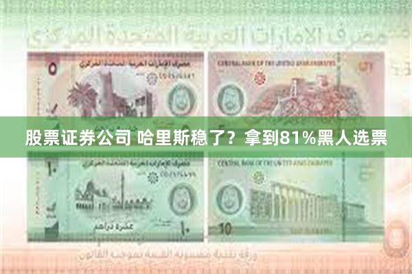 股票证券公司 哈里斯稳了？拿到81%黑人选票