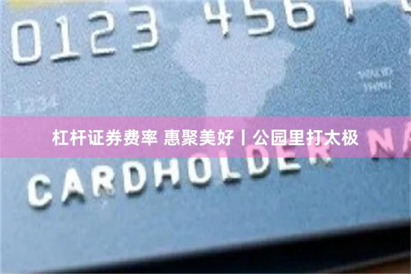 杠杆证券费率 惠聚美好丨公园里打太极