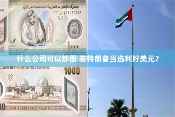 什么公司可以炒股 若特朗普当选利好美元？