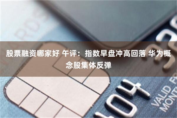 股票融资哪家好 午评：指数早盘冲高回落 华为概念股集体反弹
