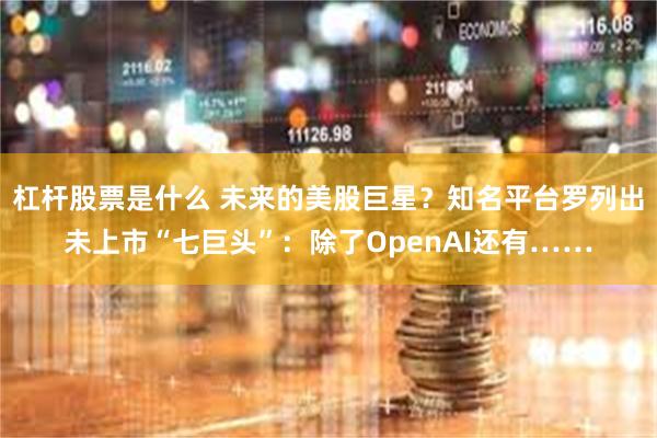 杠杆股票是什么 未来的美股巨星？知名平台罗列出未上市“七巨头”：除了OpenAI还有……