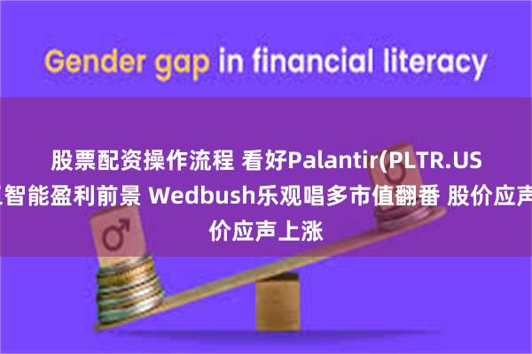 股票配资操作流程 看好Palantir(PLTR.US)人工智能盈利前景 Wedbush乐观唱多市值翻番 股价应声上涨