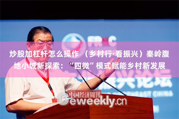 炒股加杠杆怎么操作 （乡村行·看振兴）秦岭腹地小城新探索：“四微”模式赋能乡村新发展