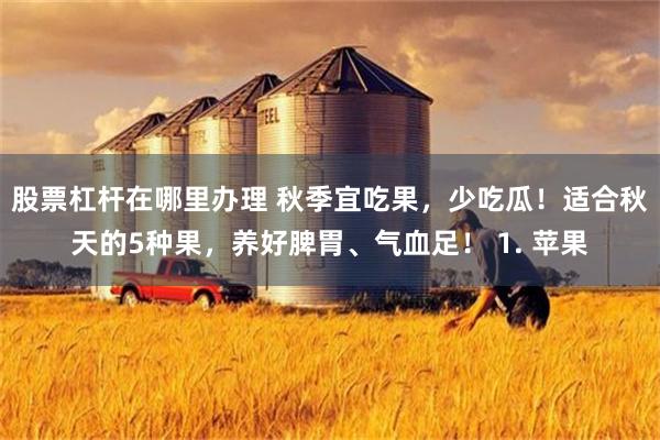 股票杠杆在哪里办理 秋季宜吃果，少吃瓜！适合秋天的5种果，养好脾胃、气血足！ 1. 苹果