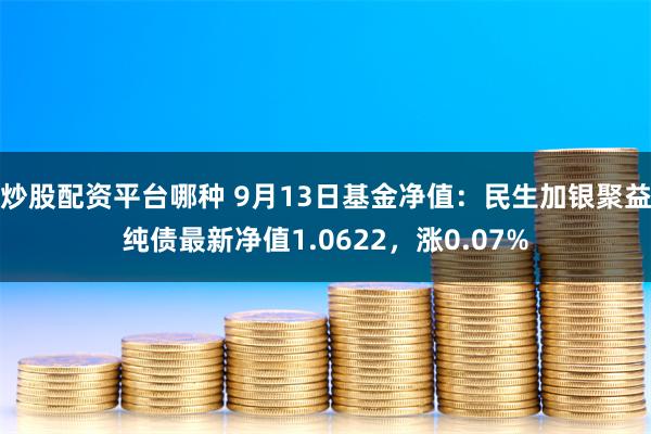 炒股配资平台哪种 9月13日基金净值：民生加银聚益纯债最新净值1.0622，涨0.07%