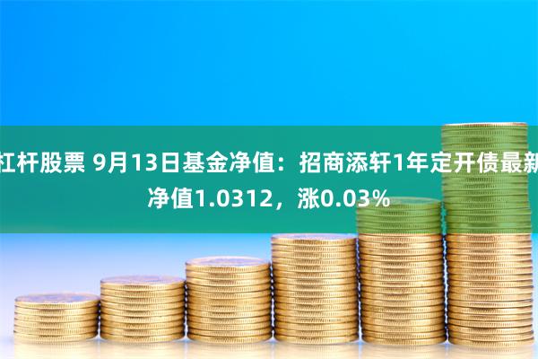 杠杆股票 9月13日基金净值：招商添轩1年定开债最新净值1.0312，涨0.03%