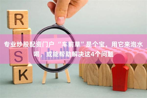 专业炒股配资门户 “车前草”是个宝，用它来泡水喝，或能帮助解决这4个问题