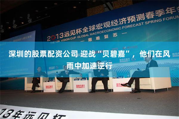 深圳的股票配资公司 迎战“贝碧嘉”，他们在风雨中加速逆行