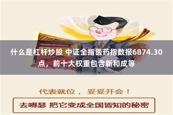 什么是杠杆炒股 中证全指医药指数报6874.30点，前十大权重包含新和成等