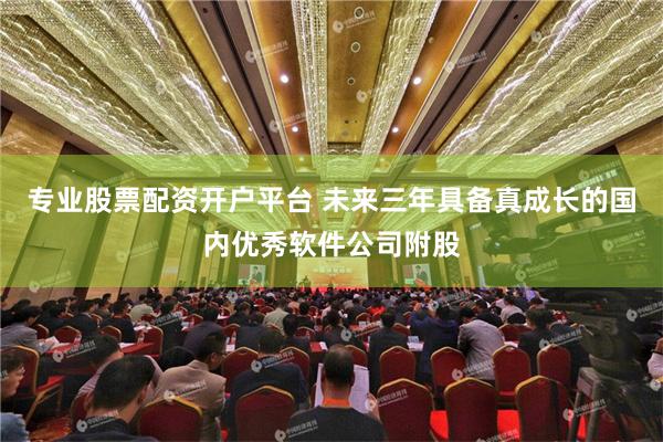 专业股票配资开户平台 未来三年具备真成长的国内优秀软件公司附股