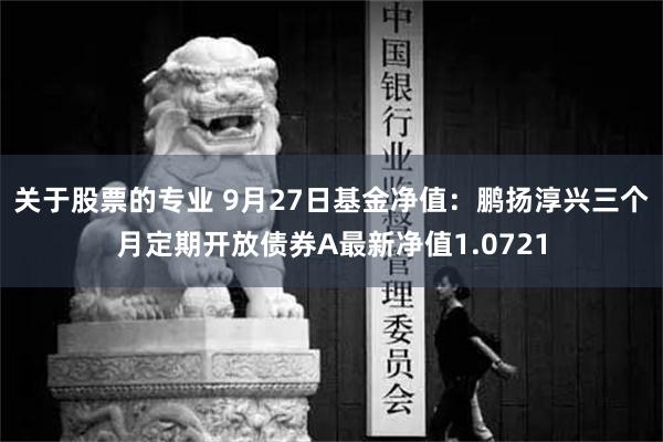 关于股票的专业 9月27日基金净值：鹏扬淳兴三个月定期开放债券A最新净值1.0721