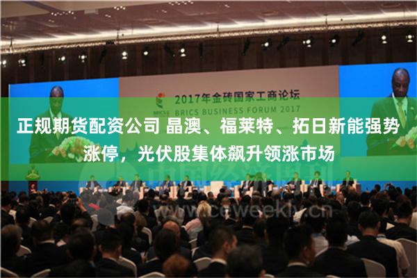 正规期货配资公司 晶澳、福莱特、拓日新能强势涨停，光伏股集体飙升领涨市场