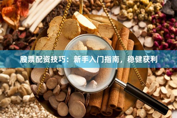 股票配资技巧：新手入门指南，稳健获利