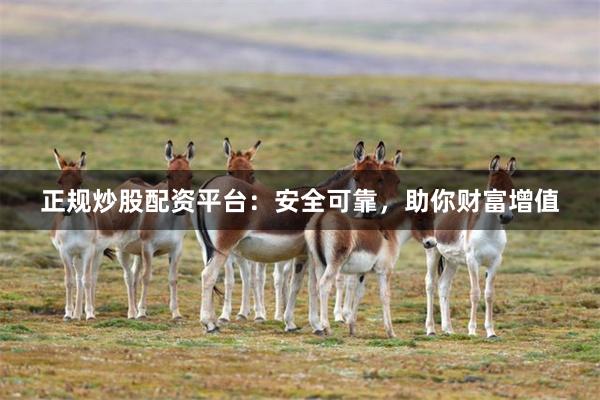 正规炒股配资平台：安全可靠，助你财富增值