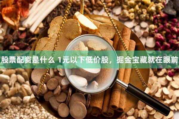 股票配资是什么 1元以下低价股，掘金宝藏就在眼前