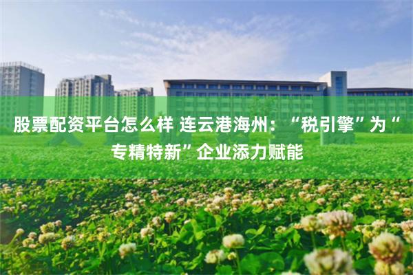 股票配资平台怎么样 连云港海州：“税引擎”为“专精特新”企业添力赋能