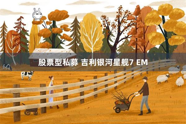 股票型私募 吉利银河星舰7 EM
