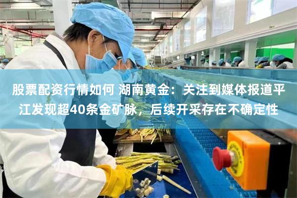 股票配资行情如何 湖南黄金：关注到媒体报道平江发现超40条金矿脉，后续开采存在不确定性