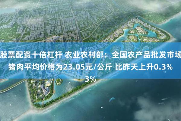 股票配资十倍杠杆 农业农村部：全国农产品批发市场猪肉平均价格为23.05元/公斤 比昨天上升0.3%