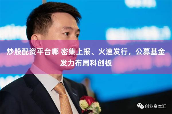 炒股配资平台哪 密集上报、火速发行，公募基金发力布局科创板