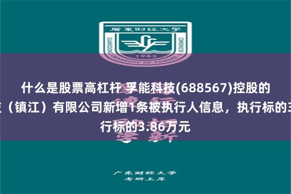 什么是股票高杠杆 孚能科技(688567)控股的孚能科技（镇江）有限公司新增1条被执行人信息，执行标的3.86万元