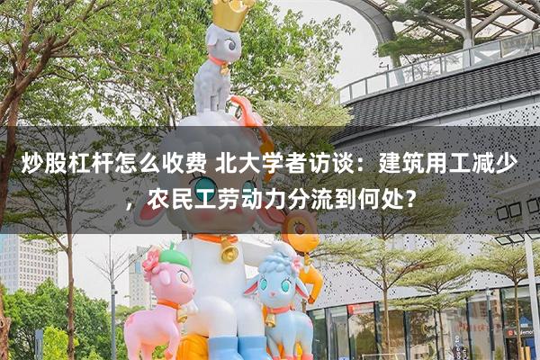 炒股杠杆怎么收费 北大学者访谈：建筑用工减少，农民工劳动力分流到何处？