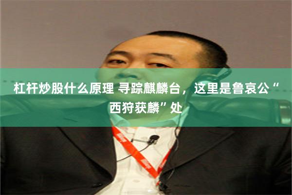 杠杆炒股什么原理 寻踪麒麟台，这里是鲁哀公“西狩获麟”处