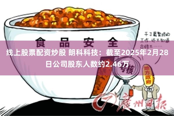 线上股票配资炒股 朗科科技：截至2025年2月28日公司股东人数约2.46万