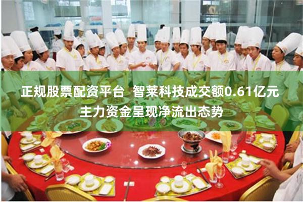 正规股票配资平台  智莱科技成交额0.61亿元 主力资金呈现净流出态势
