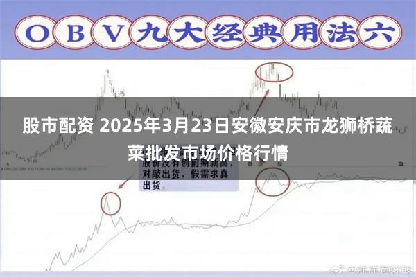 股市配资 2025年3月23日安徽安庆市龙狮桥蔬菜批发市场价格行情