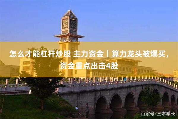 怎么才能杠杆炒股 主力资金丨算力龙头被爆买，资金重点出击4股