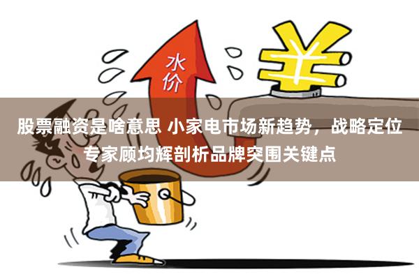 股票融资是啥意思 小家电市场新趋势，战略定位专家顾均辉剖析品牌突围关键点