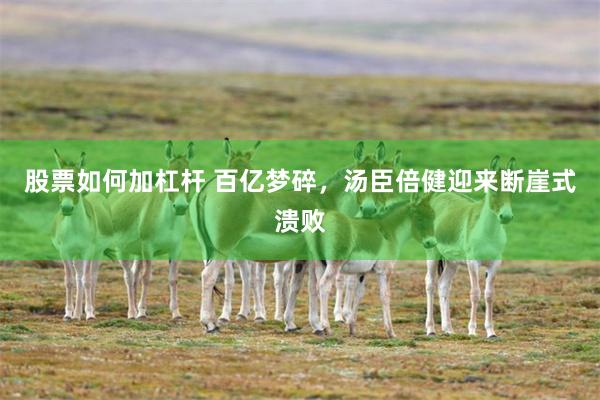 股票如何加杠杆 百亿梦碎，汤臣倍健迎来断崖式溃败