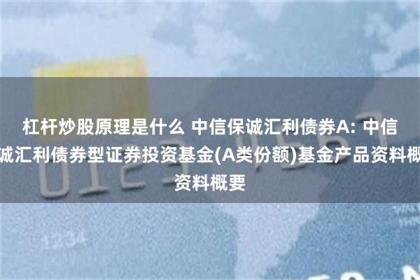 杠杆炒股原理是什么 中信保诚汇利债券A: 中信保诚汇利债券型证券投资基金(A类份额)基金产品资料概要