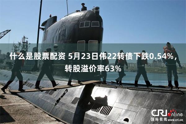 什么是股票配资 5月23日伟22转债下跌0.54%，转股溢价率63%