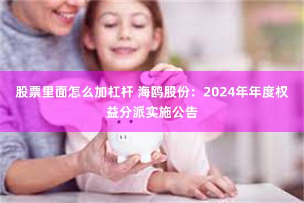 股票里面怎么加杠杆 海鸥股份：2024年年度权益分派实施公告