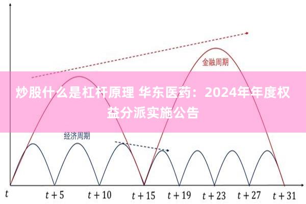 炒股什么是杠杆原理 华东医药：2024年年度权益分派实施公告