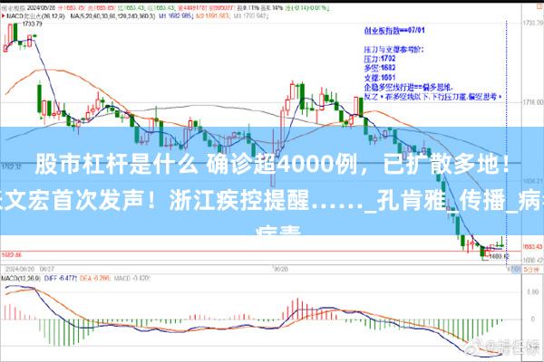 股市杠杆是什么 确诊超4000例，已扩散多地！张文宏首次发声！浙江疾控提醒……_孔肯雅_传播_病毒