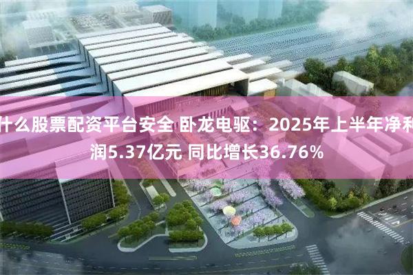 什么股票配资平台安全 卧龙电驱：2025年上半年净利润5.37亿元 同比增长36.76%