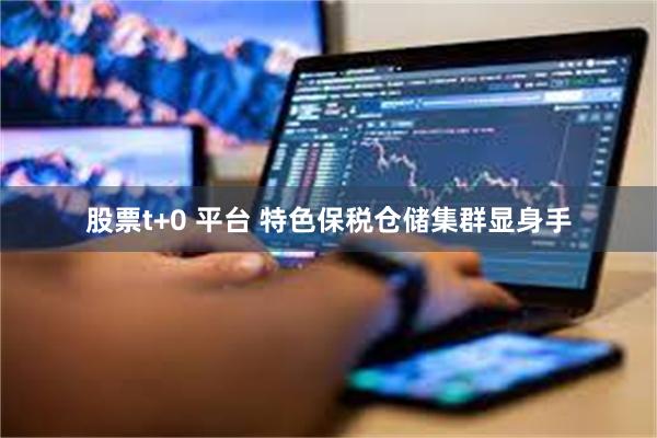 股票t+0 平台 特色保税仓储集群显身手