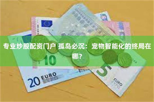 专业炒股配资门户 孤岛必沉：宠物智能化的终局在哪？