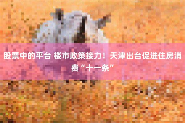 股票中的平台 楼市政策接力！天津出台促进住房消费“十一条”