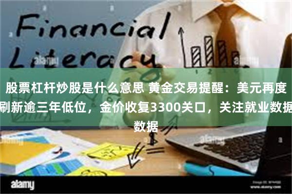 股票杠杆炒股是什么意思 黄金交易提醒：美元再度刷新逾三年低位，金价收复3300关口，关注就业数据
