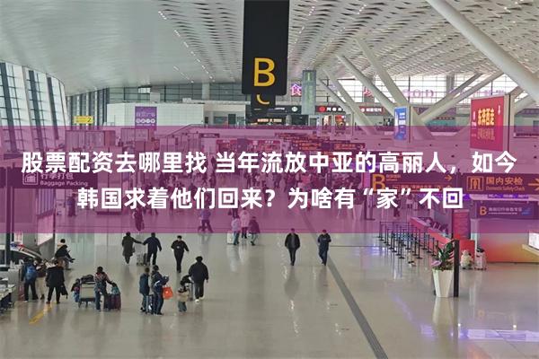 股票配资去哪里找 当年流放中亚的高丽人，如今韩国求着他们回来？为啥有“家”不回