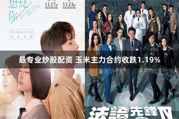 最专业炒股配资 玉米主力合约收跌1.19%