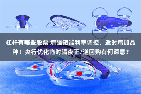 杠杆有哪些股票 增强短端利率调控、适时增加品种！央行优化临时隔夜正/逆回购有何深意？