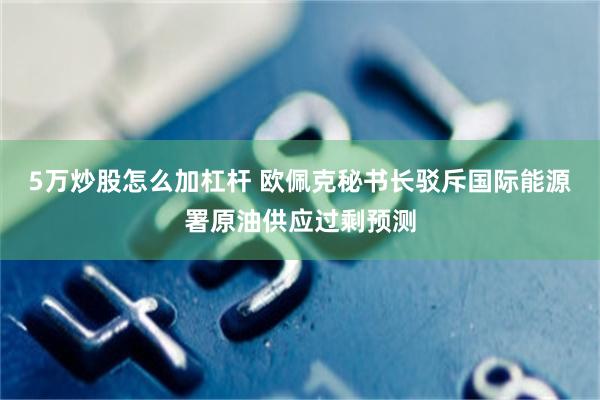 5万炒股怎么加杠杆 欧佩克秘书长驳斥国际能源署原油供应过剩预测