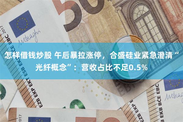 怎样借钱炒股 午后暴拉涨停，合盛硅业紧急澄清“光纤概念”：营收占比不足0.5%