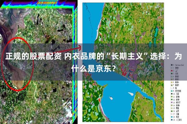 正规的股票配资 内衣品牌的“长期主义”选择：为什么是京东？