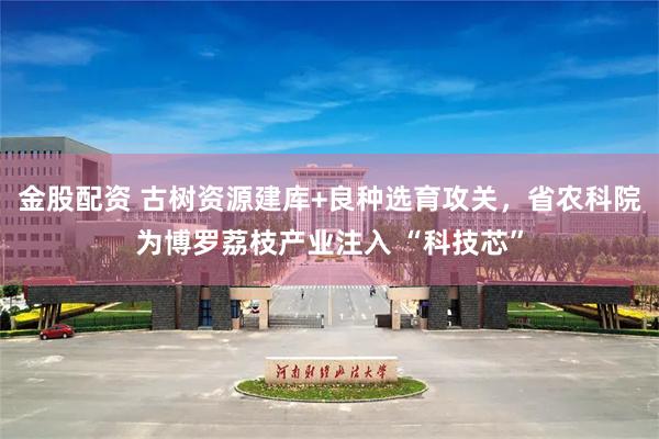 金股配资 古树资源建库+良种选育攻关，省农科院为博罗荔枝产业注入 “科技芯”